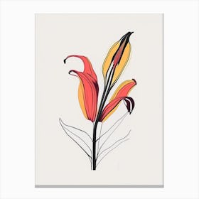 Inca Lily Floral Minimal Line Drawing 2 Flower Canvas Print