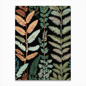 Ferns 2 Canvas Print