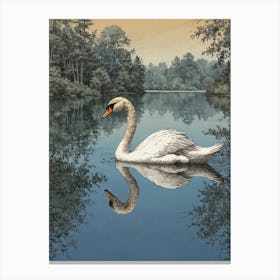 Swan! Canvas Print