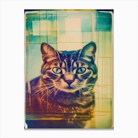 Cat Polaroid Canvas Print