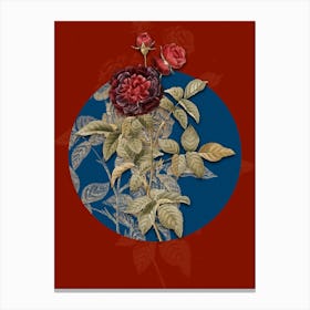 Vintage Botanical One Hundred Leaved Rose on Circle Blue on Red n.0142 Canvas Print
