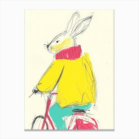 Rabbit On A Bike Canvas Print