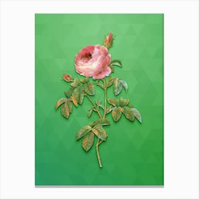 Vintage Provence Rose Bloom Botanical Art on Classic Green n.0493 Canvas Print