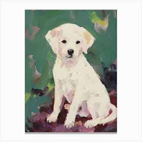 A Bichon Frise Dog Painting, Impressionist 3 Canvas Print
