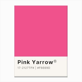 Pink Yarrow Canvas Print