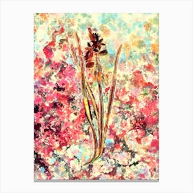 Impressionist Star of Bethlehem Botanical Painting in Blush Pink and Gold n.0035 Canvas Print