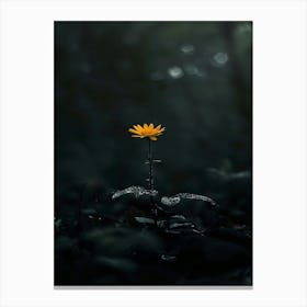 Single Yellow Flower In The Dark Canvas Print