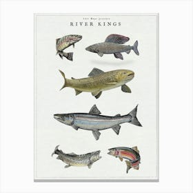 River Kings - Fish Angling Art Print Canvas Print