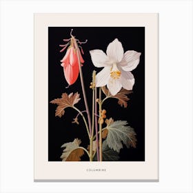 Flower Illustration Columbine 1 Poster Canvas Print