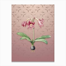 Vintage Netted Veined Amaryllis Botanical on Dusty Pink Pattern n.0003 Canvas Print