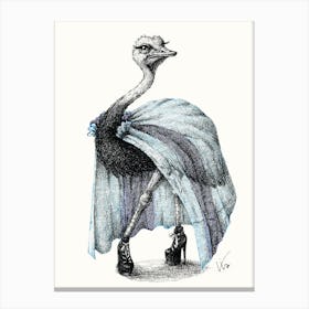 Portrait Of Lady Ostrich Canvas Print