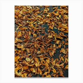 Fallen Leaves Canvas Print