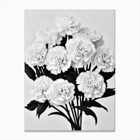 Carnations B&W Pencil 6 Flower Canvas Print