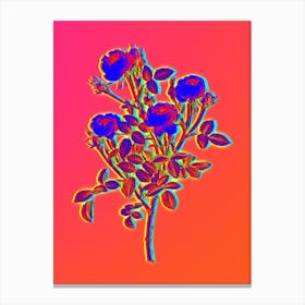 Neon Burgundian Rose Botanical in Hot Pink and Electric Blue n.0364 Canvas Print