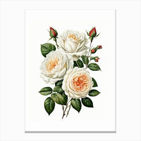 Vintage Galleria Style Rose Art Painting 2 Canvas Print