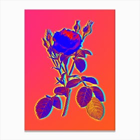 Neon Double Moss Rose Botanical in Hot Pink and Electric Blue n.0616 Canvas Print