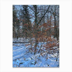 Snowy Woods 3 Canvas Print