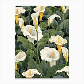 Calla Lily 1 Canvas Print