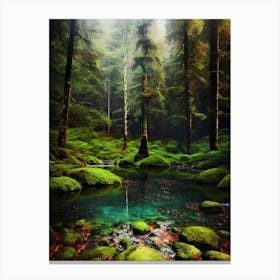 Mossy Forest 12 Canvas Print