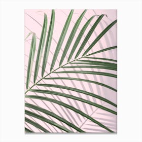 Pink & Palm Leaf Canvas Print