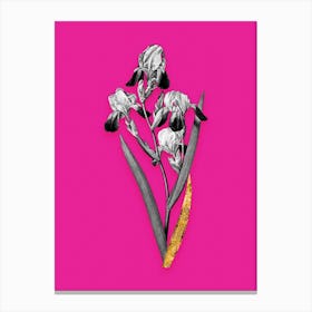 Vintage Elder Scented Iris Black and White Gold Leaf Floral Art on Hot Pink n.0235 Canvas Print
