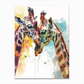 Two Affectionate Giraffes Watercolour 3 Canvas Print