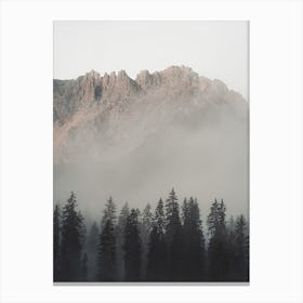 Forest Below Mountain Canvas Print