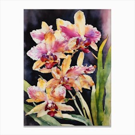 Vanilla Orchids Water Colour 1 Canvas Print