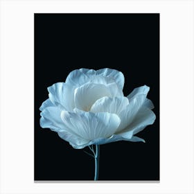 White Peony Canvas Print