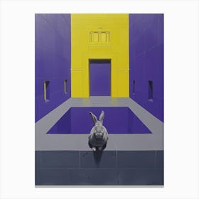 Rabbit In The Pool Canvas Print