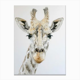 Giraffe 2 Canvas Print