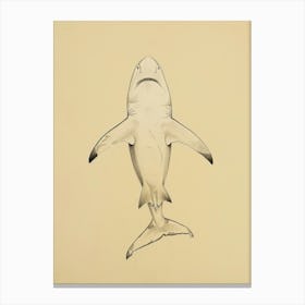 Cookiecutter Shark Vintage Illustration 7 Canvas Print