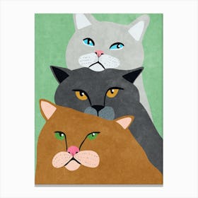 Cat Trio Canvas Print