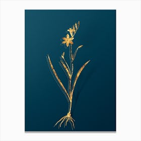 Vintage Ixia Secunda Botanical in Gold on Teal Blue n.0163 Canvas Print
