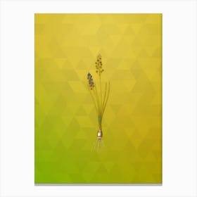 Vintage Autumn Squill Botanical Art on Empire Yellow n.1905 Canvas Print