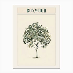 Boxwood Tree Minimal Japandi Illustration 1 Poster Canvas Print