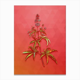 Vintage Chaste Tree Botanical Art on Fiery Red n.0760 Canvas Print