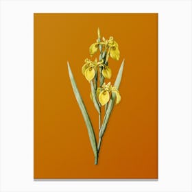 Vintage Irises Botanical on Sunset Orange n.0812 Canvas Print