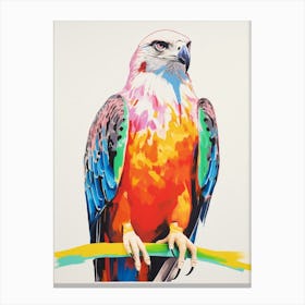 Colourful Bird Painting Osprey 3 Canvas Print