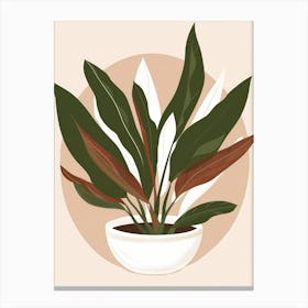 Plant In A Pot 53 Canvas Print