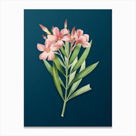 Vintage Oleander Botanical Art on Teal Blue n.0086 Canvas Print