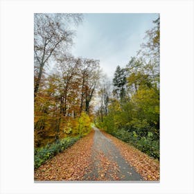 Autumn Road In The Woods Canvas Print