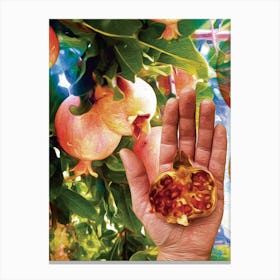 Pomegranate Hand Canvas Print