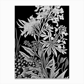 Wild Quinine Wildflower Linocut 2 Canvas Print