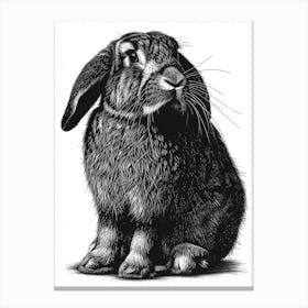 American Fuzzy Lop Black Blockprint Rabbit Illustration 1 Canvas Print
