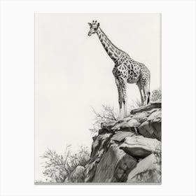 Giraffe On The Cliff Edge Pencil Drawing 3 Canvas Print