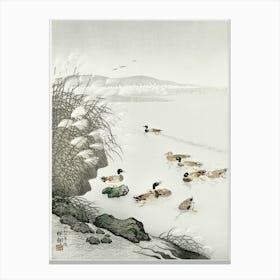 Ducks In The Water (1931), Ohara Koson Canvas Print