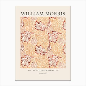 William Morris Metropolitan Museum 4 Canvas Print