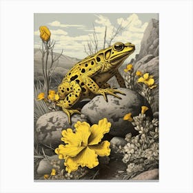 Golden Poison Frog Vintage Botanical 5 Canvas Print