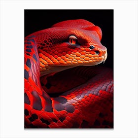 Red Tailed Boa Snake Vibrant Canvas Print